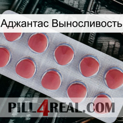 Аджантас Выносливость 18